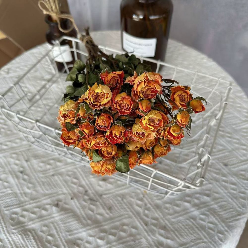 Echte konservierte Rosen, getr – Resin Craft Ideas Bewertung und Preis